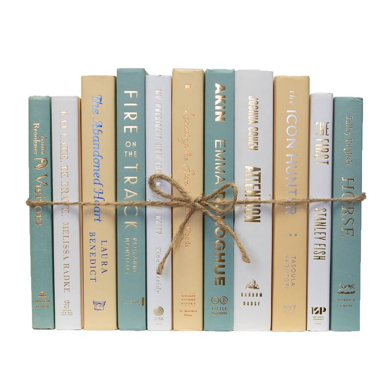 Books Blue Decorative Accessories: Lakehouse ColorPak