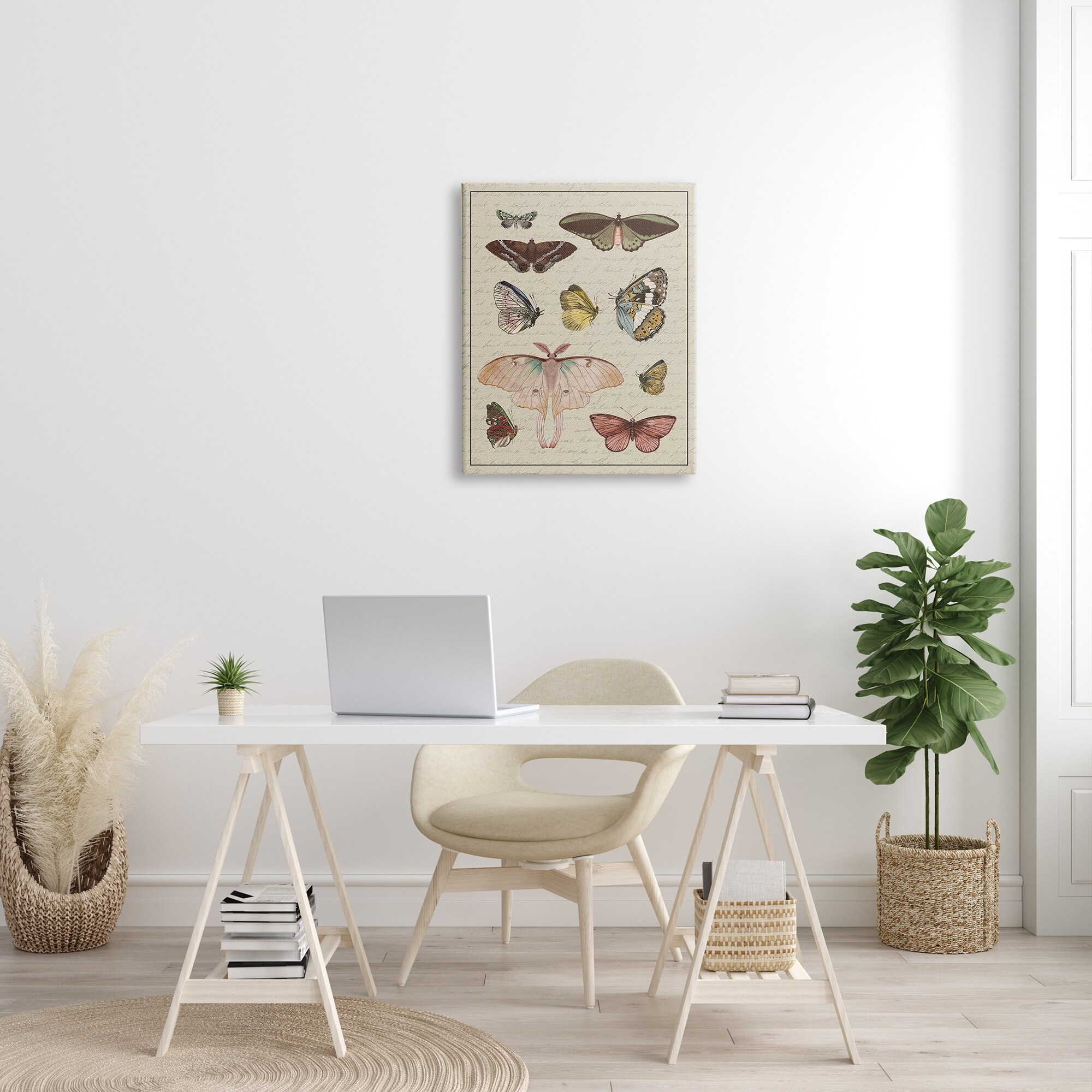 Stupell Vintage Moth and Butterfly Wing Study over Script-image