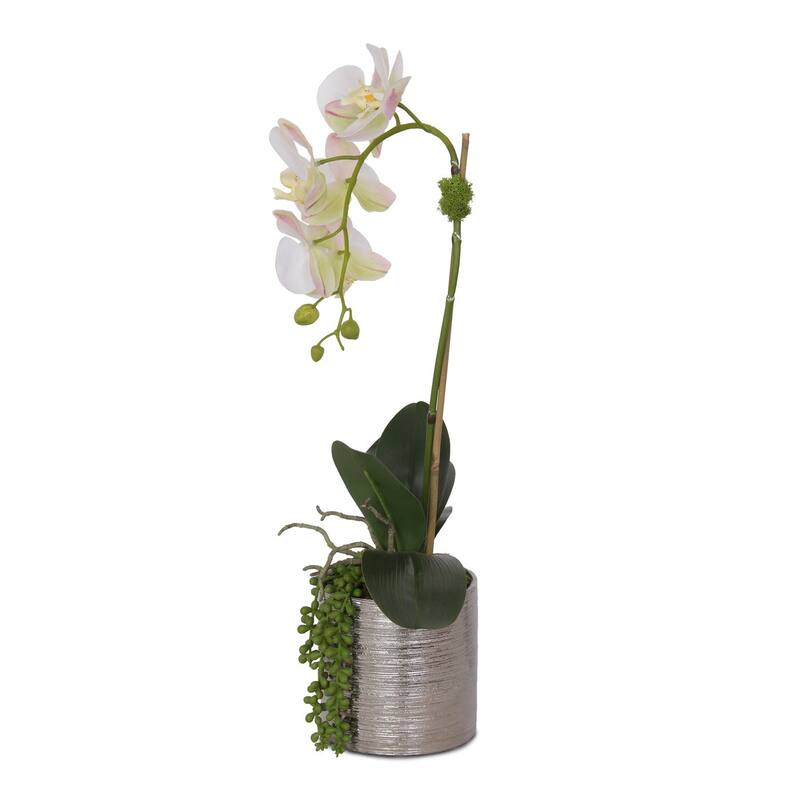 Real Touch White Orchid with Succulent Arrangement in Round Silver Pot - 12W x 6D x 18H