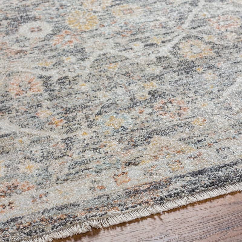 Livabliss Rojin Distressed Classic Area Rug