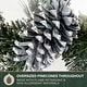 preview thumbnail 8 of 13, Fraser Hill Farm 6-Ft. Christmas Snow Flocked Garland