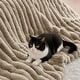 preview thumbnail 16 of 37, Madison Park Jasmine Ultrasoft Faux Fur Ribbed Comforter Set