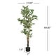 preview thumbnail 9 of 7, Christopher Knight Home - Alexander Artificial Ficus Tree with Black Plastic Pot