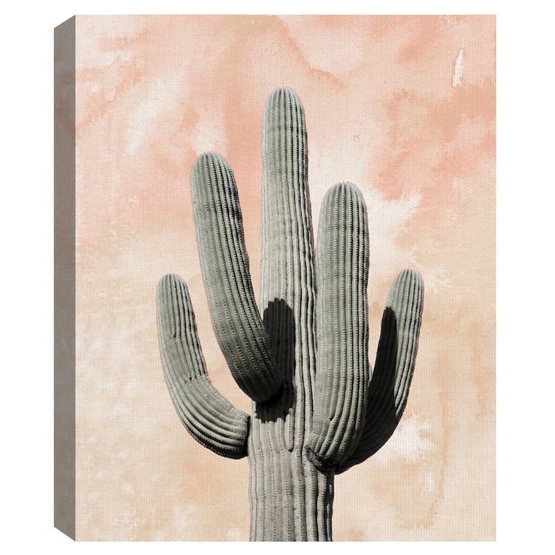 Desert Wash Coral II by Belle Maison Canvas Art Print