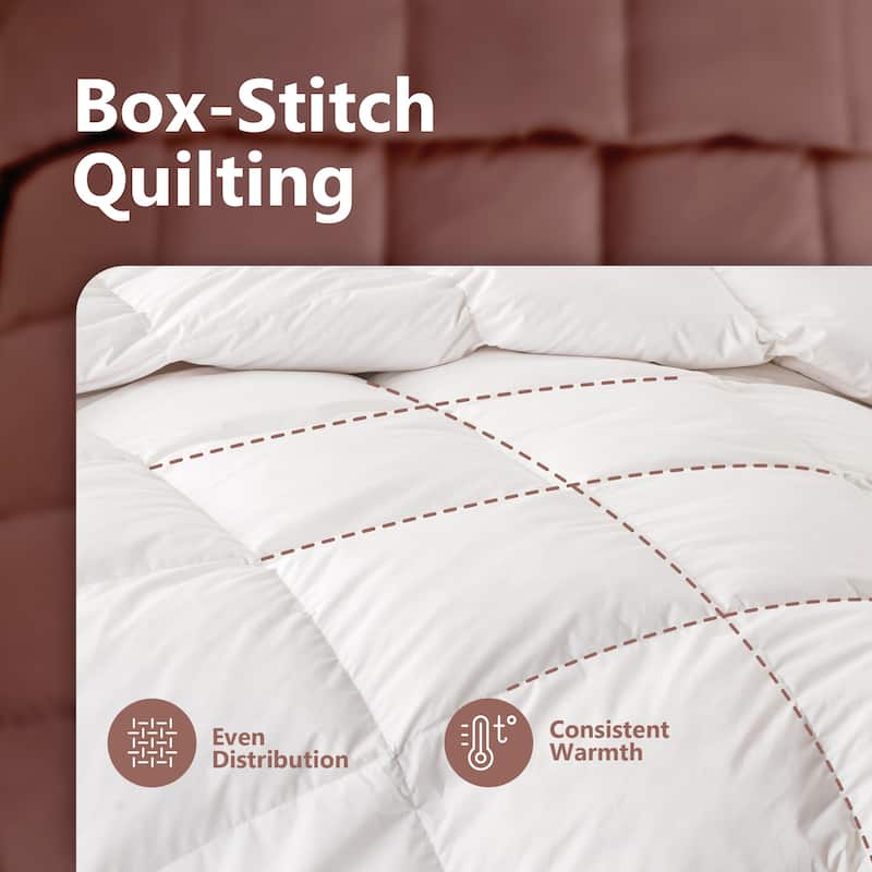 2 in 1 Quilt / Duvet for All Season Down Insert Comforter Set