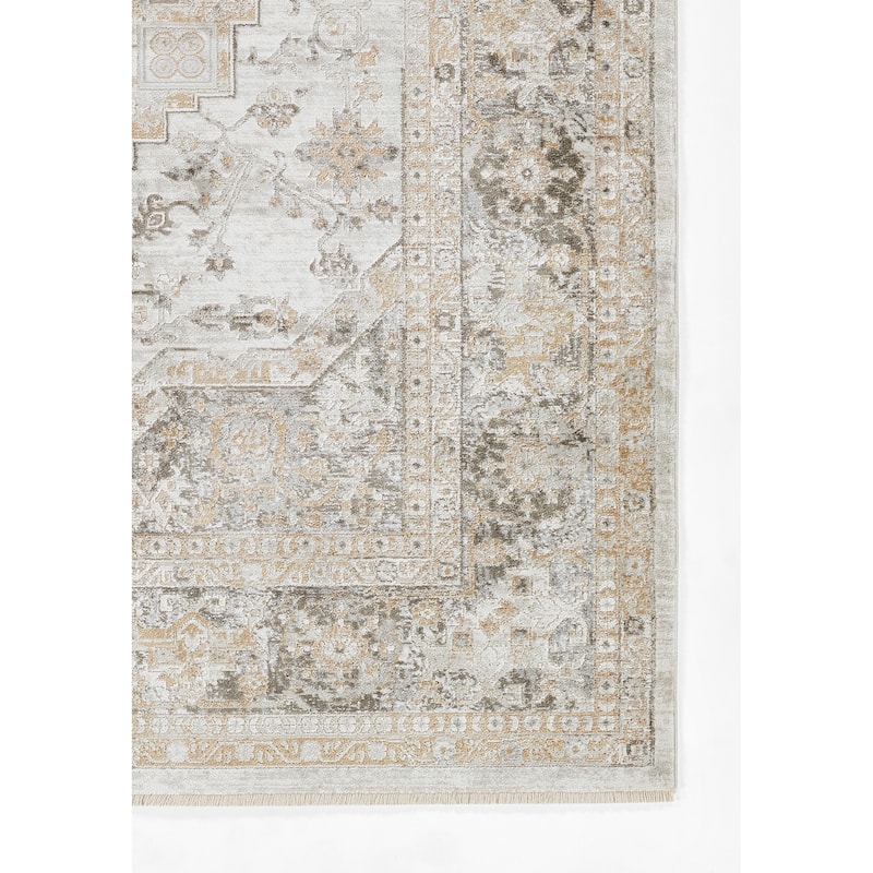 Momeni Cambridge Viscose Medallion Area Rug