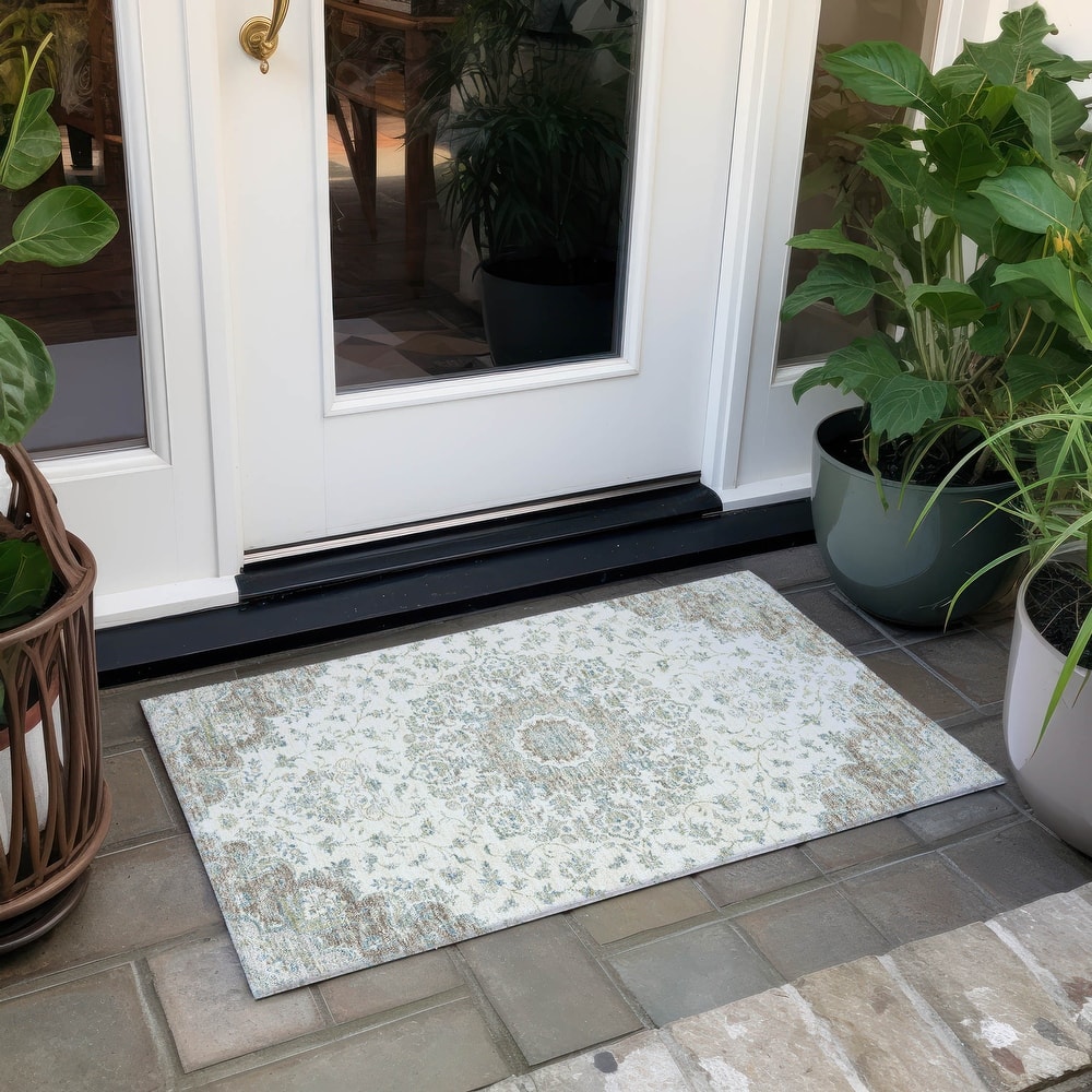 Machine Washable Indoor/ Outdoor Vintage Thane Chantille Rug