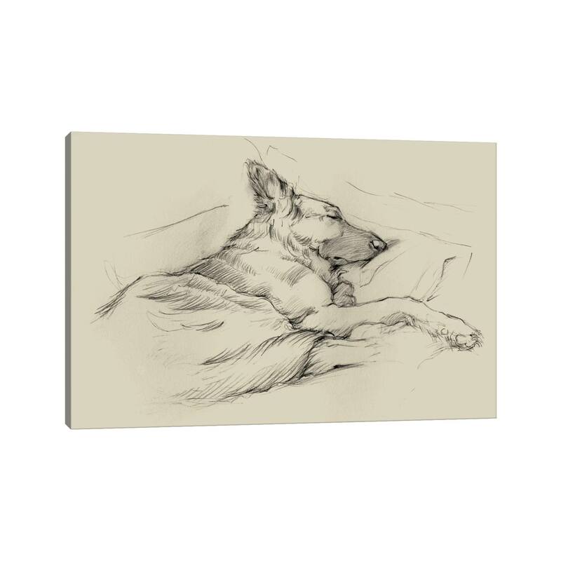 iCanvas "Dog Days IV" by Ethan Harper Canvas Print