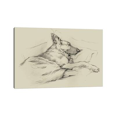 iCanvas "Dog Days IV" by Ethan Harper Canvas Print