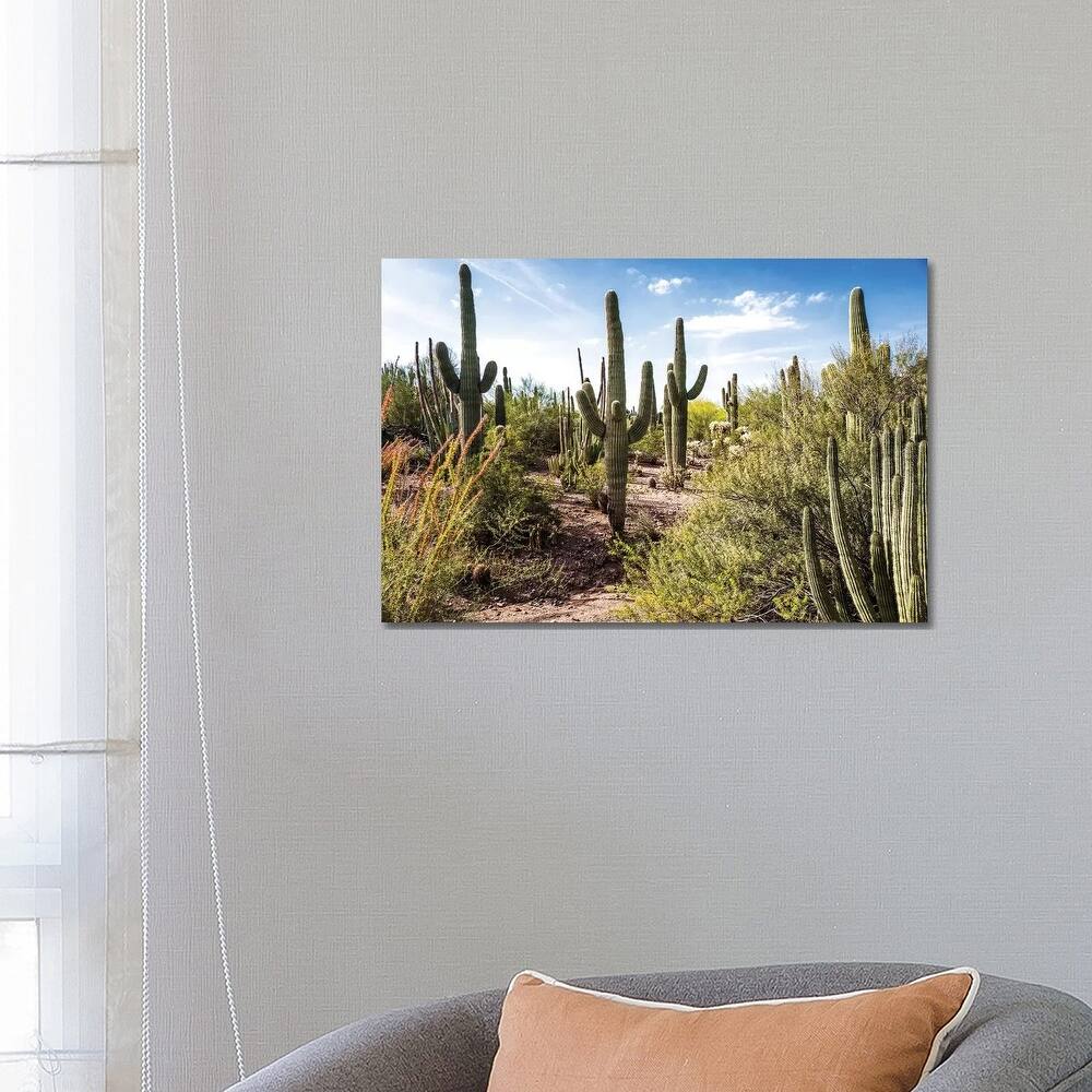 iCanvas "Into the Desert" by Bill Carson Photography Canvas Print