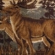 preview thumbnail 9 of 15, Natural Lodge Novelty Graphic Indoor Area Rug
