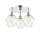 Option Polished Nickel / Seedy