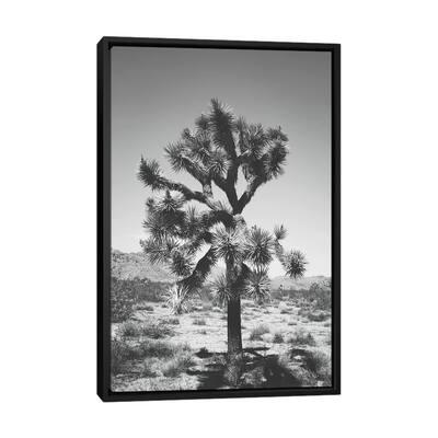 iCanvas "Joshua Tree I" by Ann Hudec Framed Canvas Print