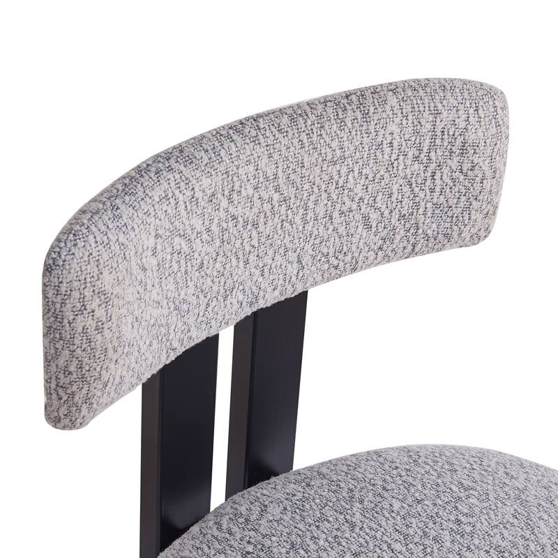 Upholstered Side Chair Dining Chairs (Set of 2)
