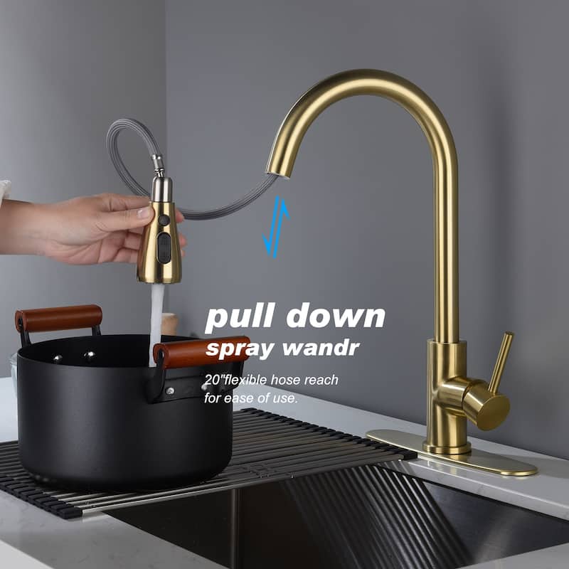 Single Handle Pull out Kitchen Faucet