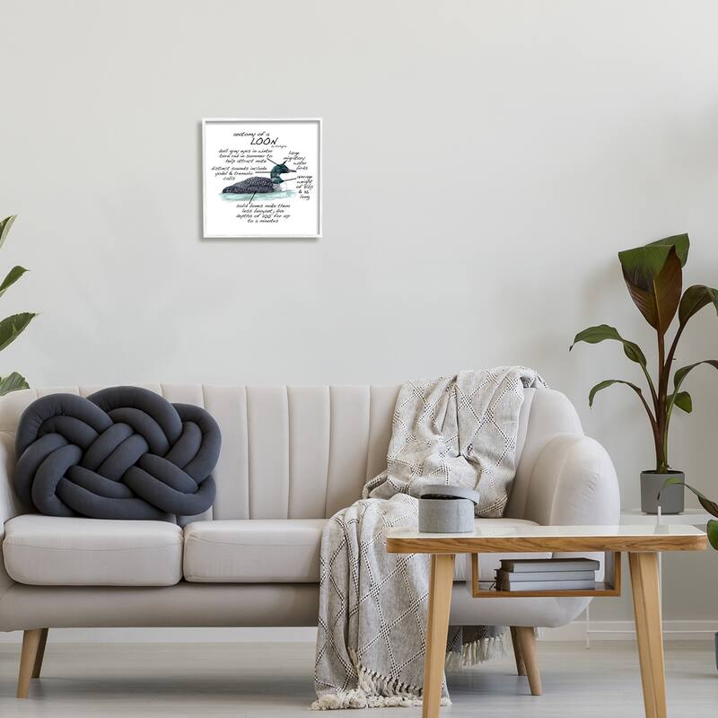 Stupell Loon Water Bird Anatomy Chart Educational Wildlife Facts Framed Wall Art, Design by Dishique - Grey