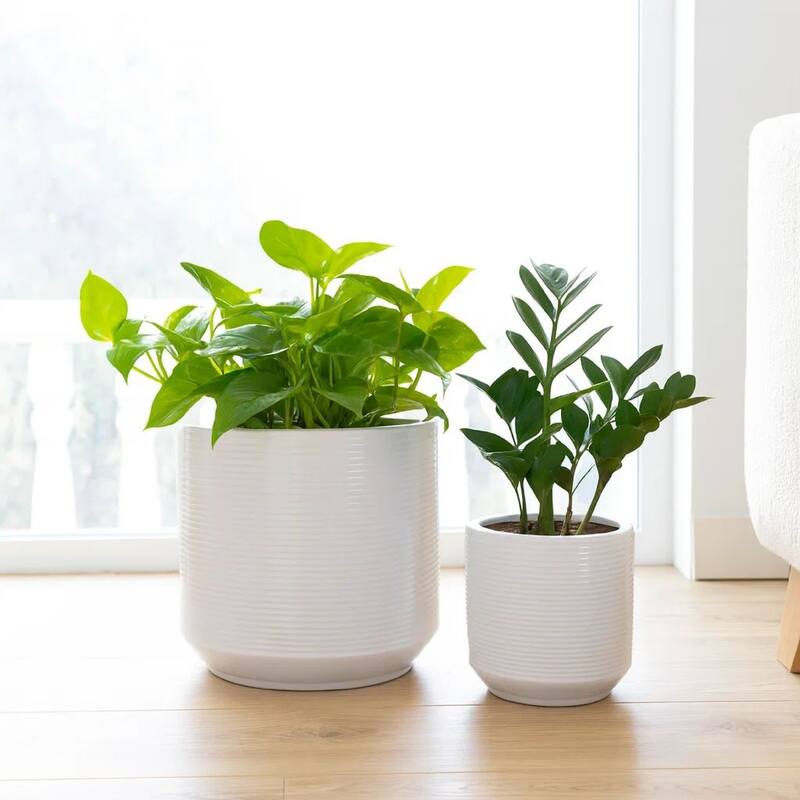 Fusie Planter Set of 2, Round, White Ceramic, Horizontal Texture