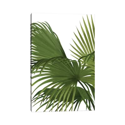 iCanvas "Another Fan Palm II" by Fab Funky Canvas Print