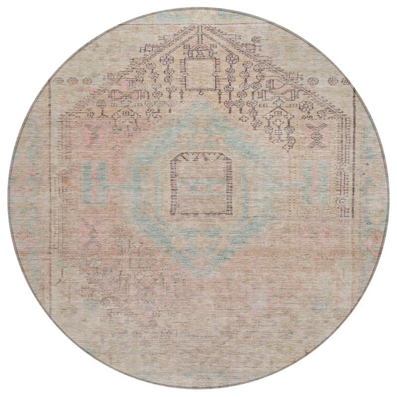 Machine Washable Indoor/ Outdoor Boho Vintage Chantille Rug