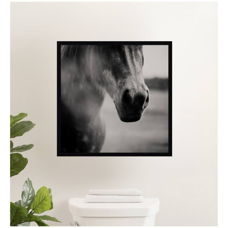 Kate and Laurel Horse Like Velvet by Laura Evans Framed Wall Art Print