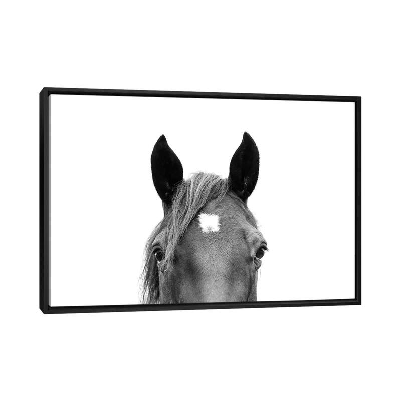 iCanvas "Peeking Horse In Black & White" by Sisi & Seb Framed Canvas Print - Black - 26x40