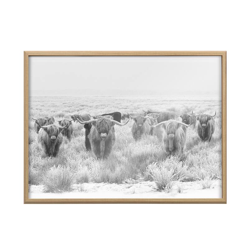 Kate and Laurel Herd of Cows Framed Print by Creative Bunch Studio