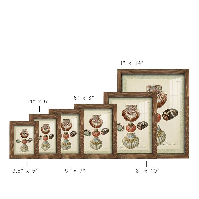 Bookplate Shells III -Framed Print w/glass-Cherry Red