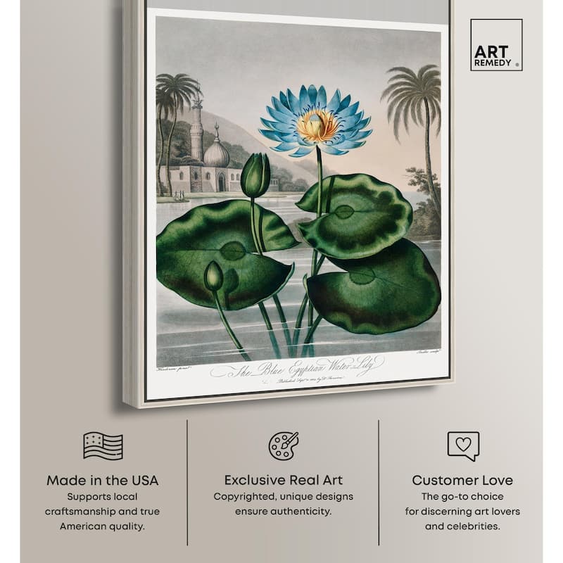 Blue Egyptian Water-Lily Canvas by Art Remedy