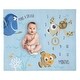 preview thumbnail 2 of 3, Disney Finding Nemo Make a Splash Milestone Baby Blanket