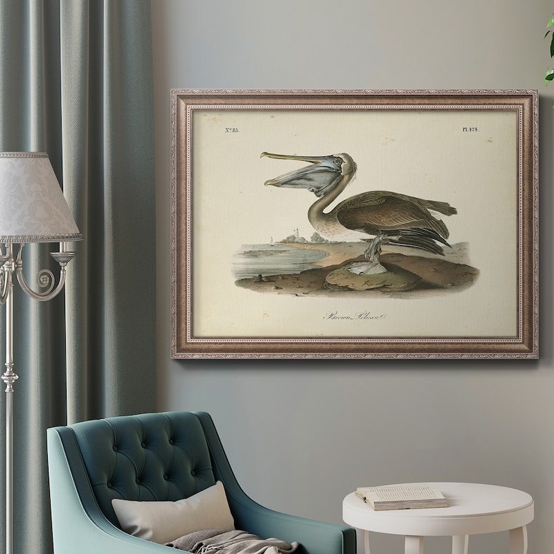 Audubons Brown Pelican Premium Framed Canvas- Ready to Hang
