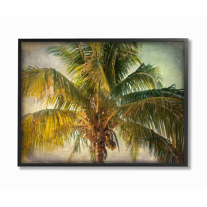 Stupell Distressed Tropical Summer Palm Tree Frond Photograph Framed Wall Art - Brown - 24 x 30 - Black