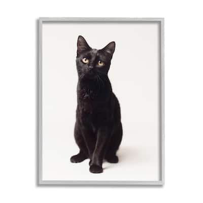 Stupell Cute Black Cat Expressive Eyes Pet Portrait Framed Giclee Texturized Art by Marika Moffit