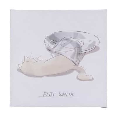 Coffee Cat III (20 x 20 ) Canvas Art Print