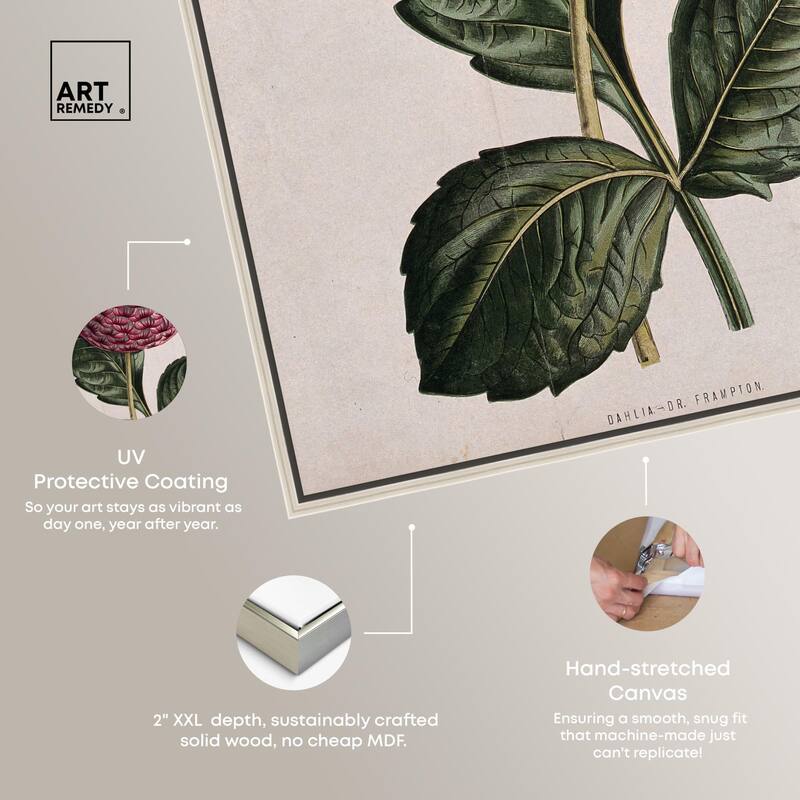 A dahlia Canvas by Art Remedy