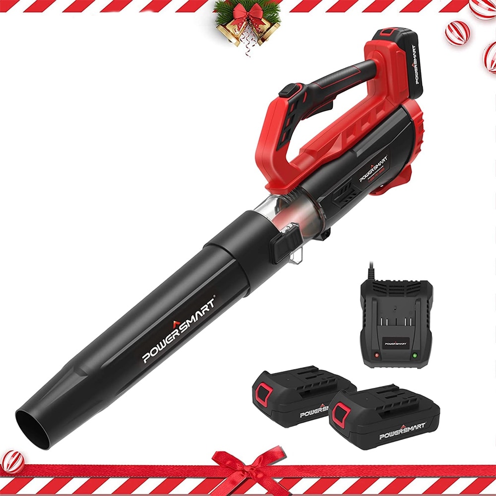https://ak1.ostkcdn.com/images/products/is/images/direct/9ace19fef92905a4b6ca983016809f658ad9a7ca/20V-Cordless-Leaf-Blower-w-2x2.0Ah-Battery-and-Charger%2C-350CFM-2-Speed.jpg