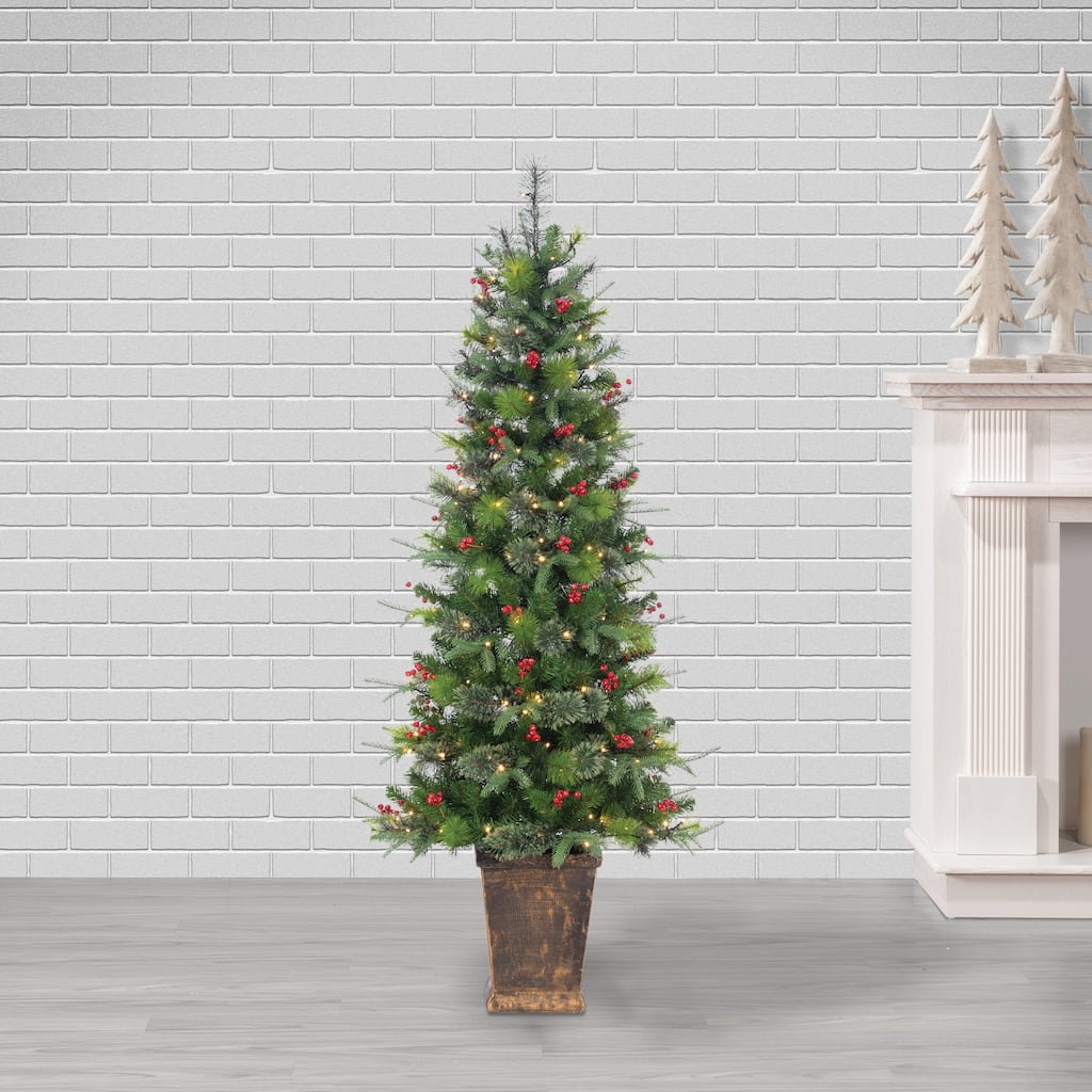 6ft Pre Lit Warm White LED Potted Hard Needle Douglas Pine