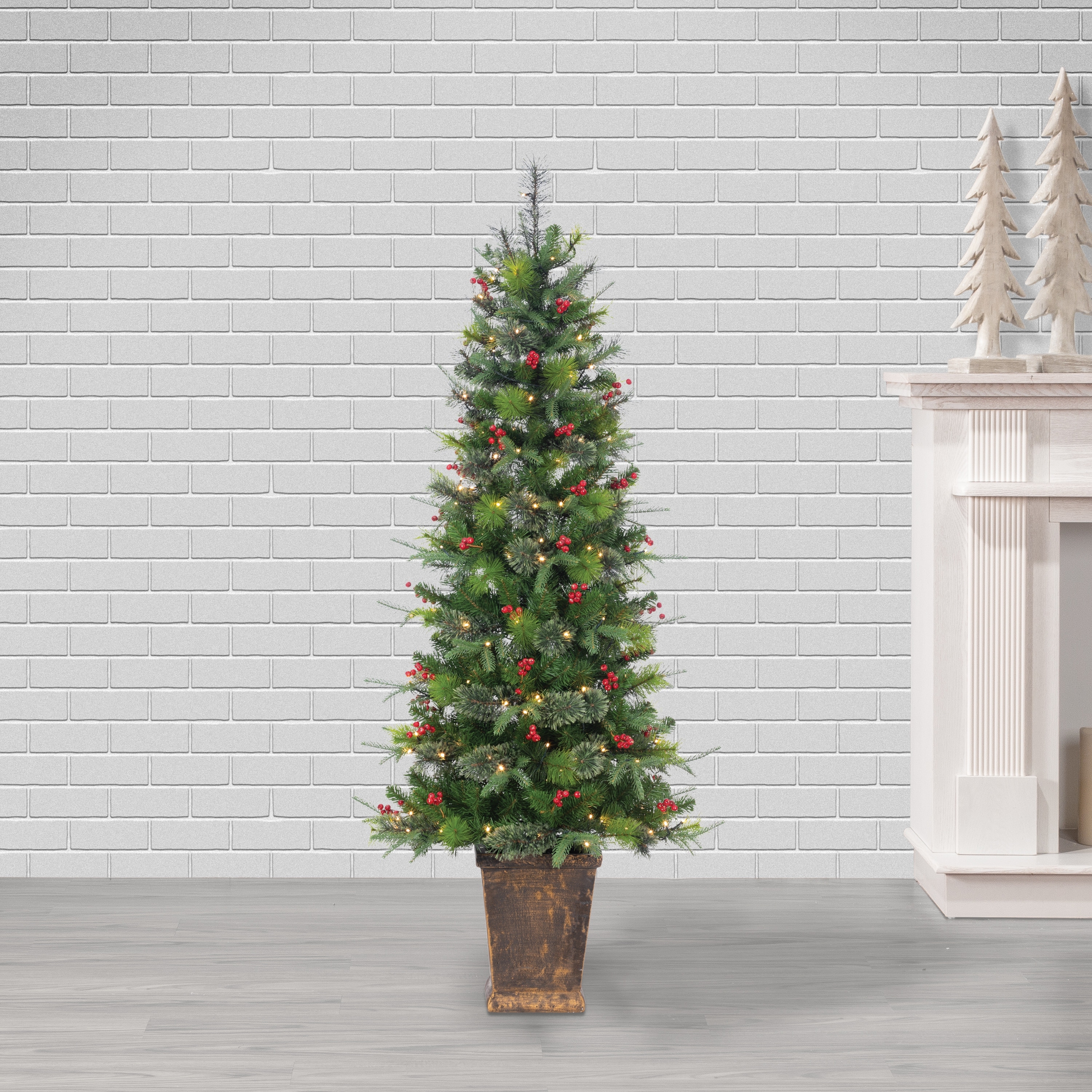 6ft Pre Lit Warm White LED Potted Hard Needle Douglas Pine
