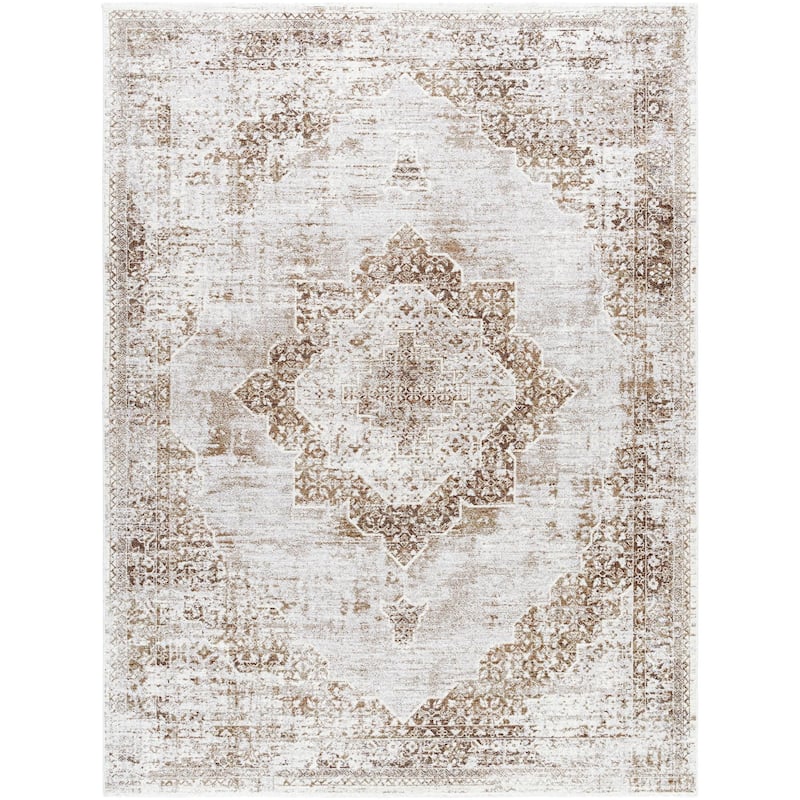 Noyes Traditional Medallion Area Rug - 2' 6" x 10' - Taupe/Gray/Cream/Dark Brown