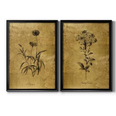 Gold Sketch Botanical I Premium Framed Print - Ready to Hang - Multi-Color