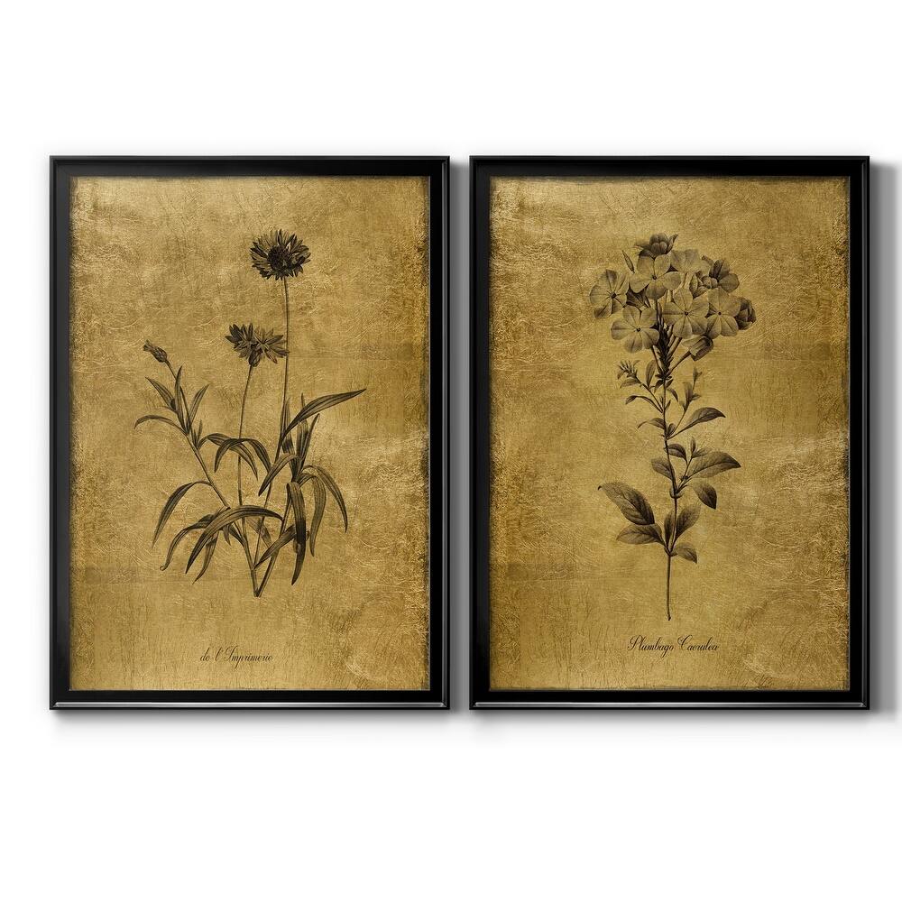 Gold Sketch Botanical I Premium Framed Print - Ready to Hang - Multi-Color