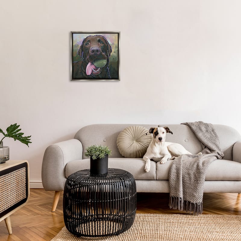 Stupell Dog Playing Ball Portrait Framed Floater Canvas Wall Art Design By Nadi Spencer