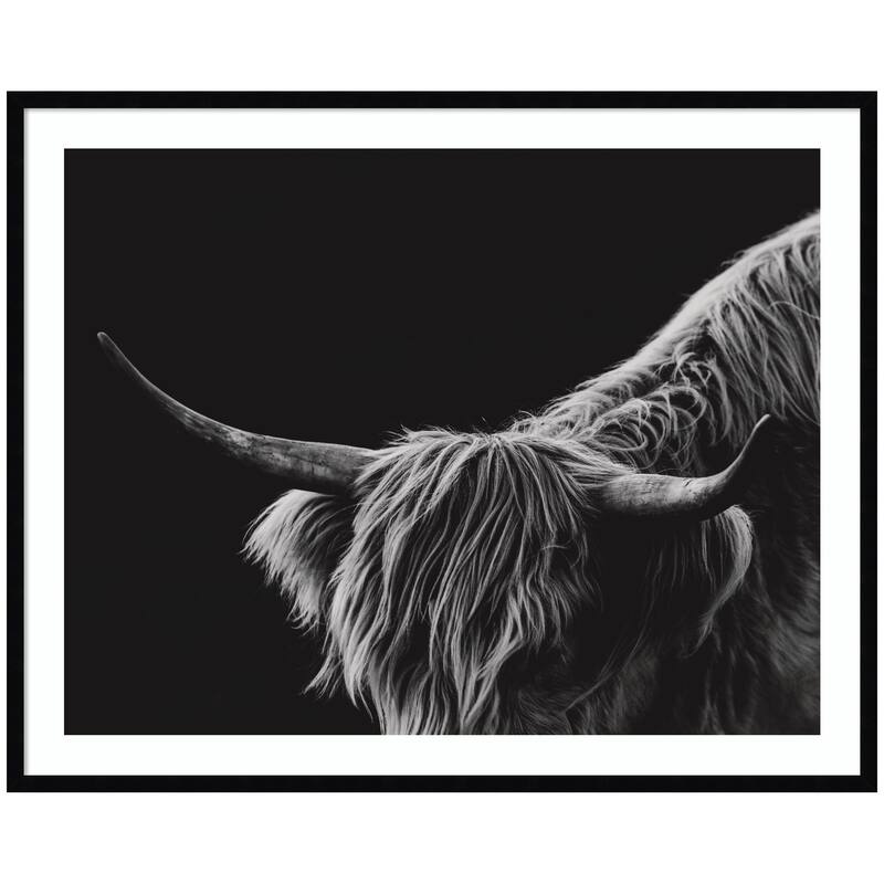 Kate and Laurel Scottish Highland No. 6 by Crystal Lynn Collins Framed Wall Art Print - 41 x 33 - Black