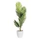 Option Palm Tree (Ceramic Pot)