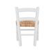 Klemm Rush Seat Kid Chairs (Set of 2)