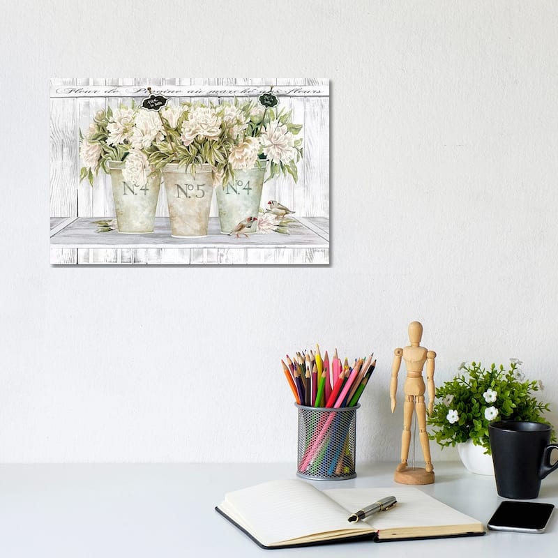 iCanvas "French Peonies Still Life II " by Cindy Jacobs Canvas Print - 8x12x0.75