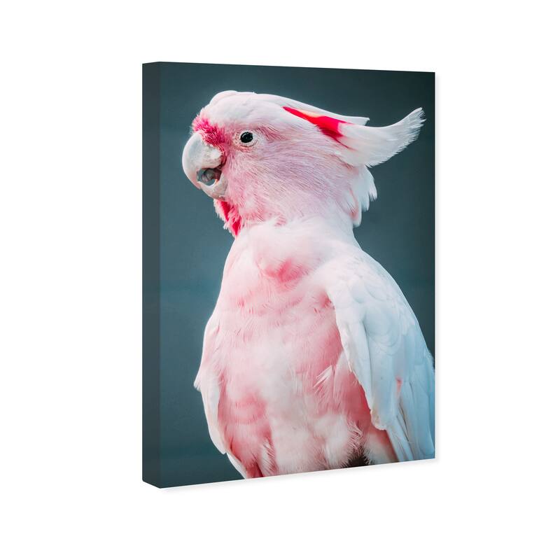 Wynwood Studio Canvas Animals Talkative Cockatoo Pink and Modern & Contemporary Wall Art Canvas Print
