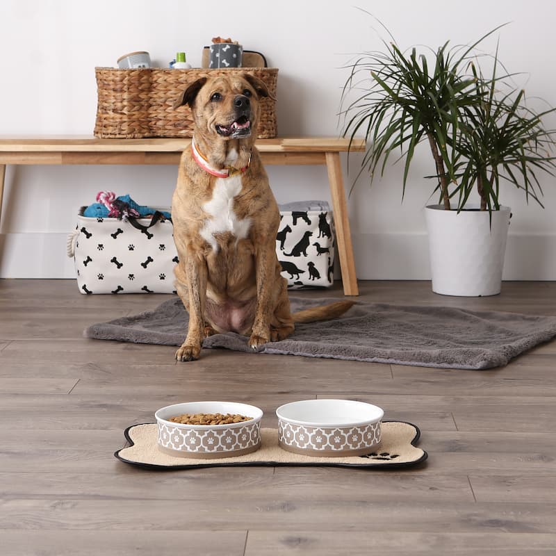 Bone Dry Lattice Pet Bowl (Set of 2)