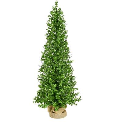 Fraser Hill Farm 4-Ft. Boxwood Porch Tree in Burlap Bag