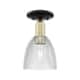 Option Black Antique Brass / Clear