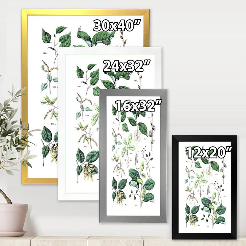Designart "Vintage Botanicals VIII" Traditional Framed Art Print